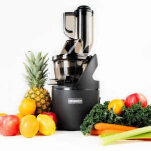 Platinum Slow Juicer & Sorbet System 110V